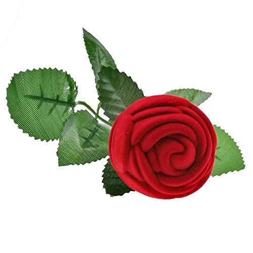 Four Eternity Rose Jewelry Box – Perfect Valentine's Day Gift – espoirboston